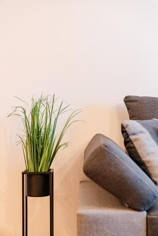 Cosy Apartment - Loftaffair 克拉科夫 外观 照片